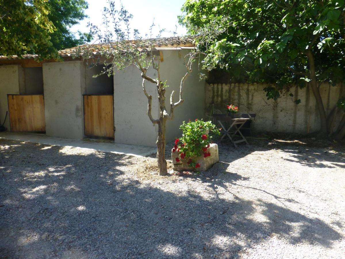 Bed and Breakfast Mas D'Auzieres Saint-Gilles  Exterior foto